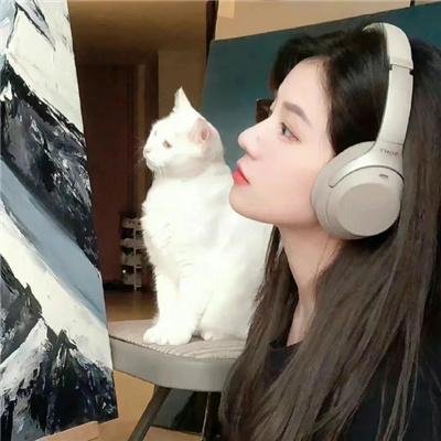 鹡鸰女神第一季 海报